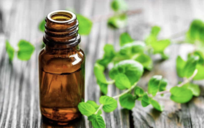 Essential Oils: Helping Your Animals Stay Healthy