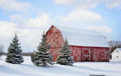 4 Tips to Winterize Your Barn